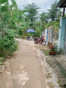 NỀN TĂNG NHÀ NAM LONG