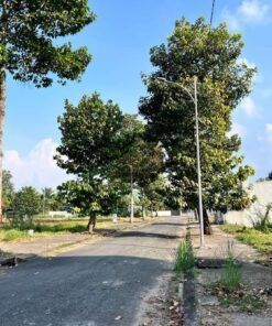 Nền Đường Số 50 KDC Ngân Thuận