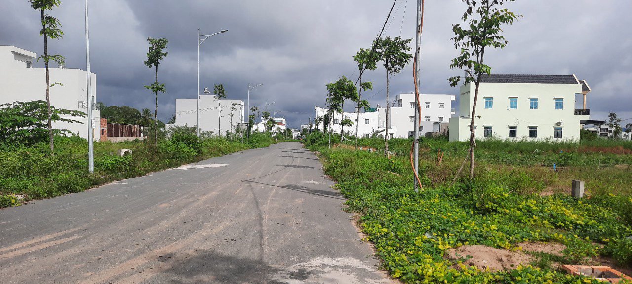 nền hồng loan
