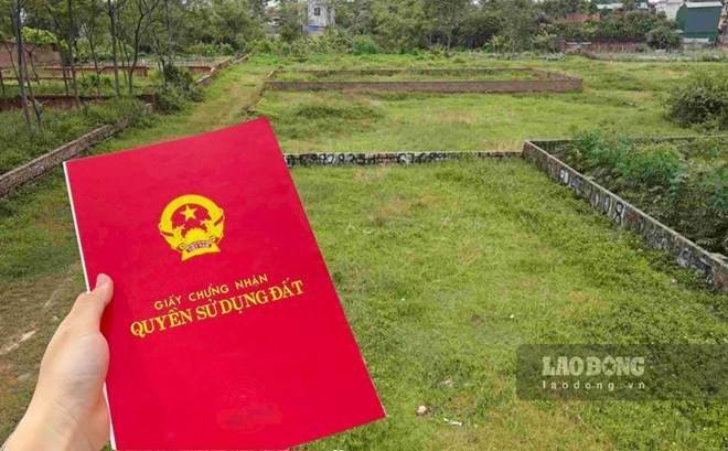 Ảnh minh họa: Phan Anh