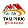 TAM PHUC 2