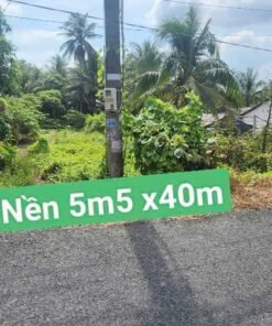 Nền Lộ Ô Tô Đông Thạnh