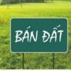 ban dat